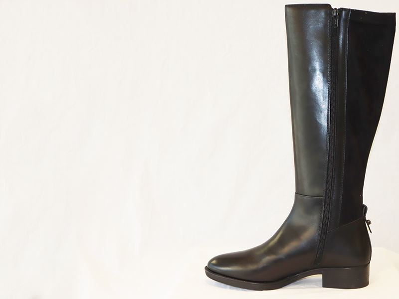 D16G1D D FELICITY – Image 3